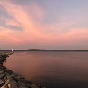 Meet your Posher, Madeline